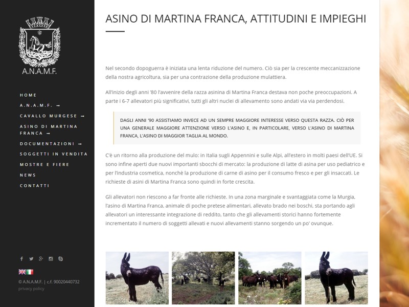 Realizzazione siti internet Martina Franca Taranto ,Video, Foto, SEO , E-commerce